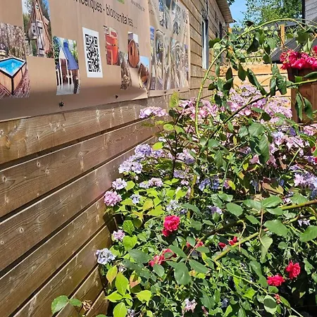 Flips Et Mousse Affittacamere 3*