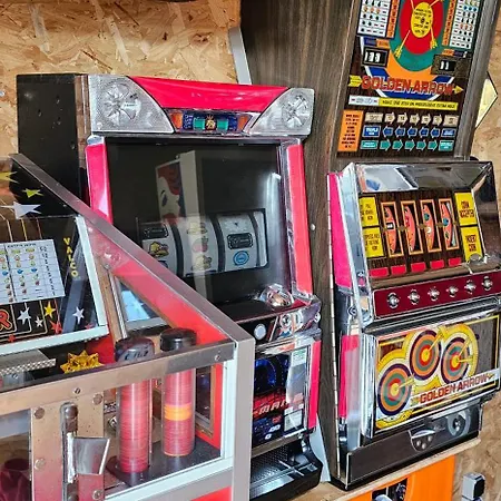 Flips Et Mousse 3* Gembloux