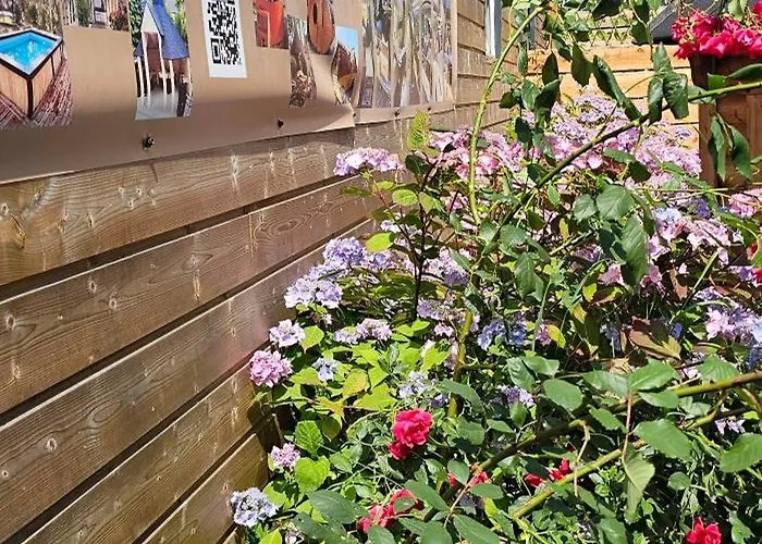 Flips Et Mousse 招待所 3*