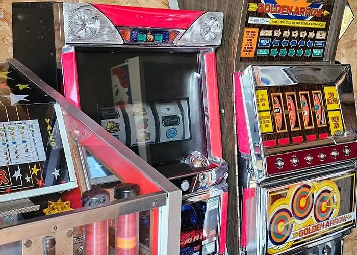 Flips Et Mousse 3* 让布卢